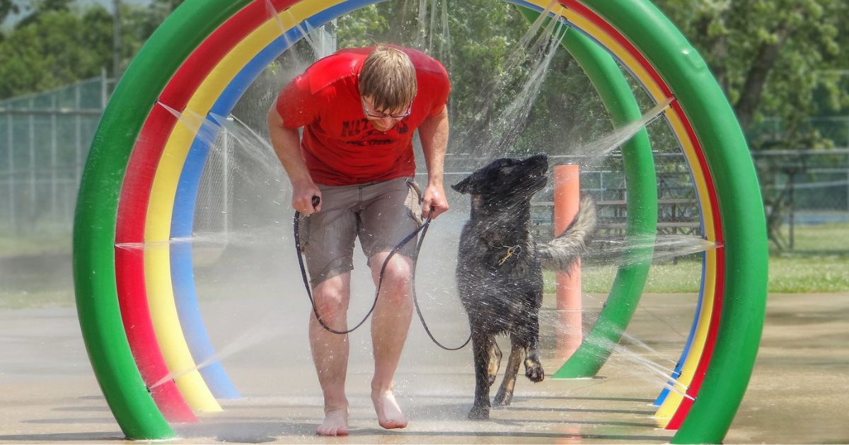 Martin and his dog Bosco run through a colourful water feature.