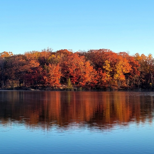 Fall trees reflected in water against a bright blue sky.